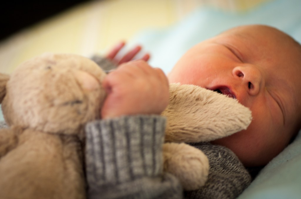 Baby & Bunny
