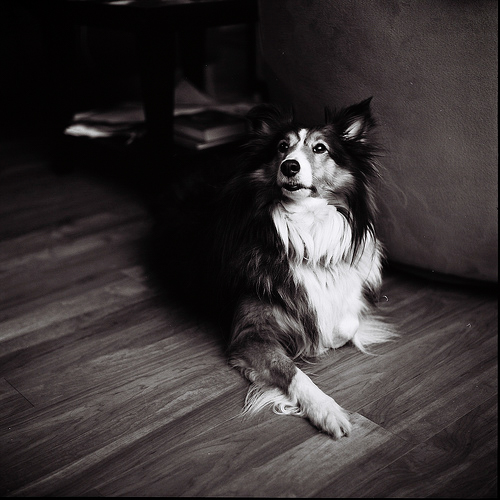 My wonderful Anya.

Yashica-Mat LM
