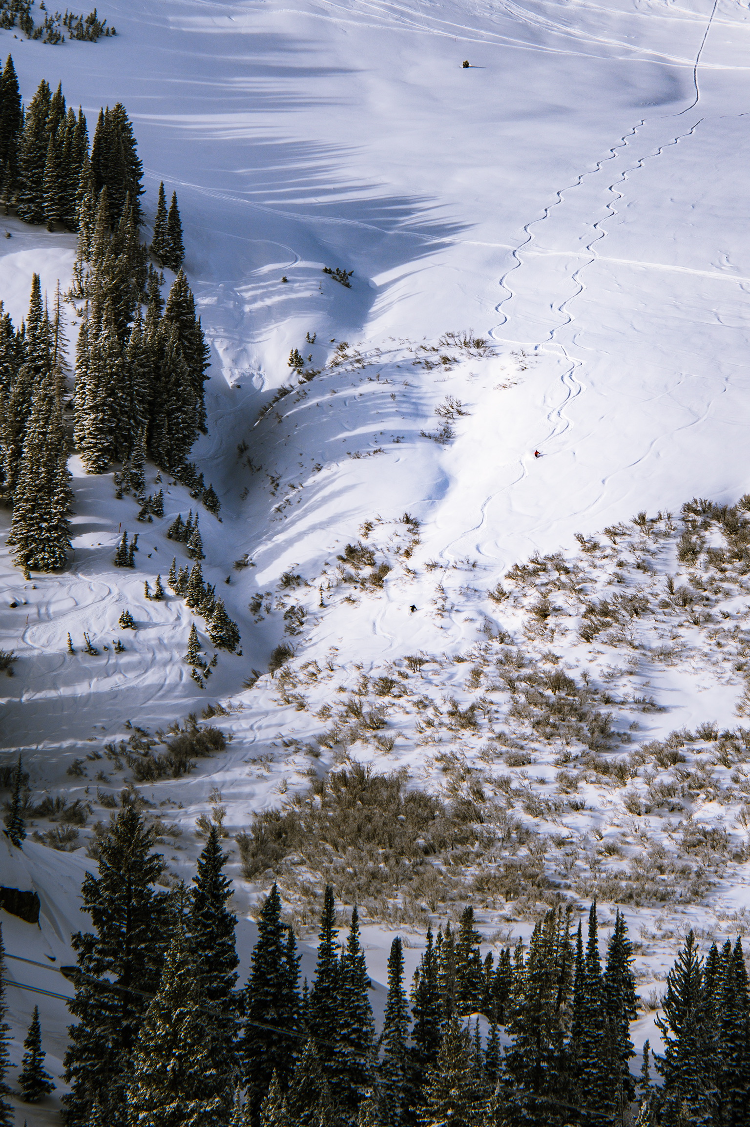 Skiers in Alta’s off-piste area.

Nikon D780