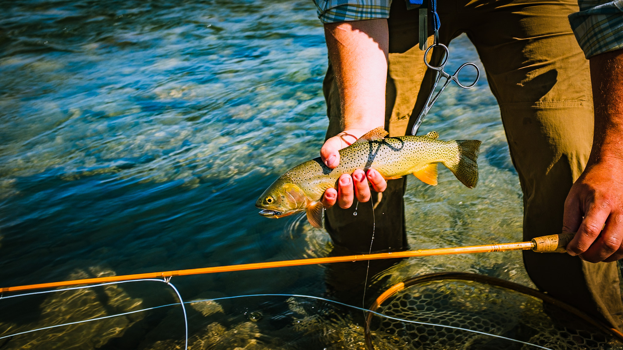 Gorgeous cutthroat in the Wind River Range, Dubois, WY.

Fujifilm X100v