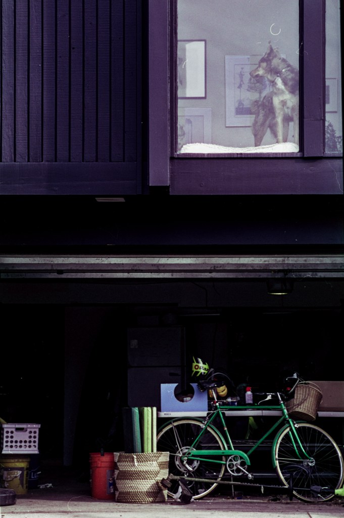 Neighbor’s house.

Leica M2